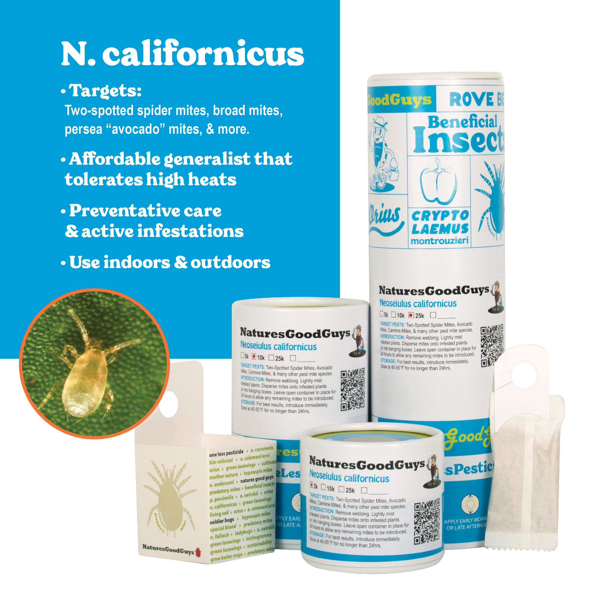 best spider mite killer for weed plants Neoseiulus californicus | General Mite Predator