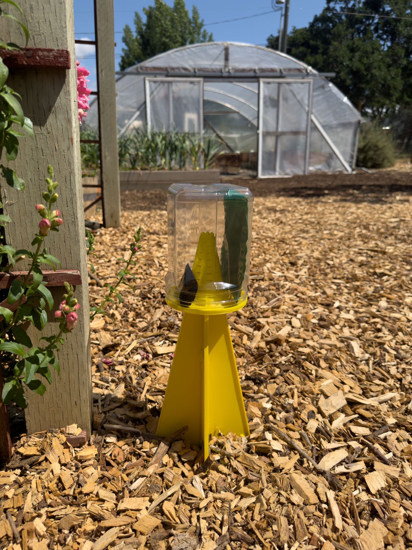 DEAD-INN Stink Bug Trap