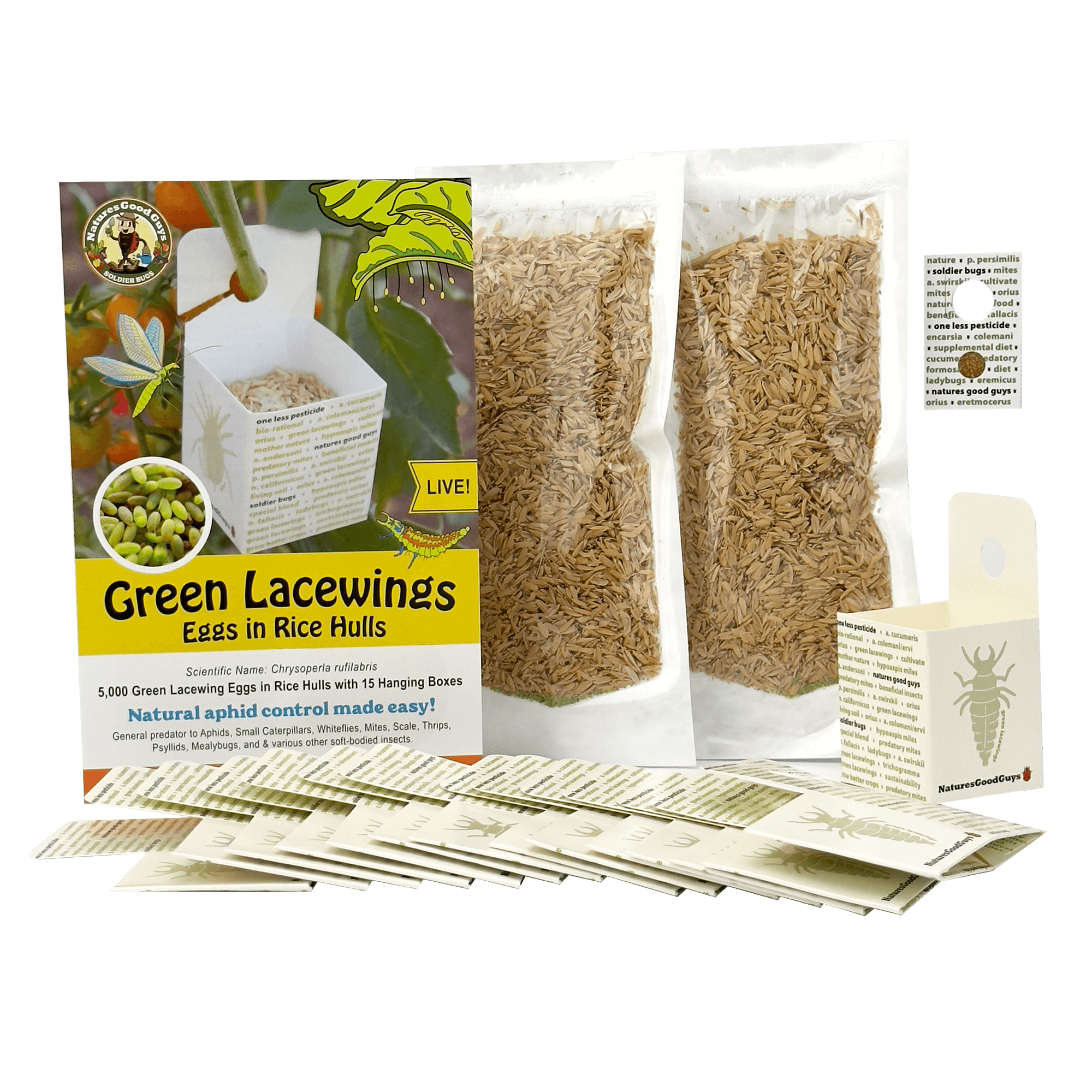 Live Ladybugs | Praying Mantis Egg Cases | Green Lacewing Eggs Live Ladybugs | Praying Mantis Egg Cases | Green Lacewing Eggs