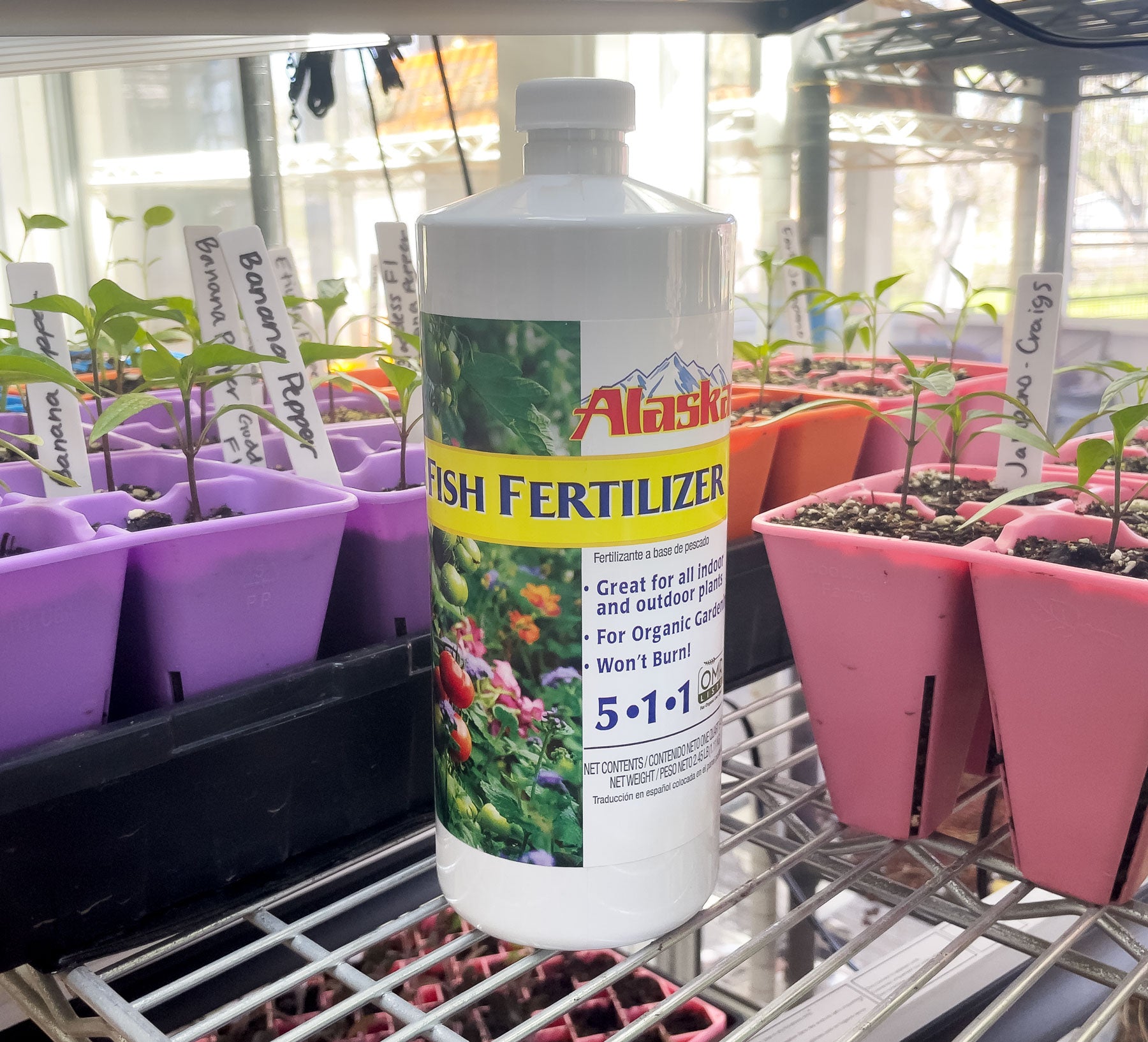 is fish fertilizer good for cucumber plants Alaska Fish Fertilizer 511