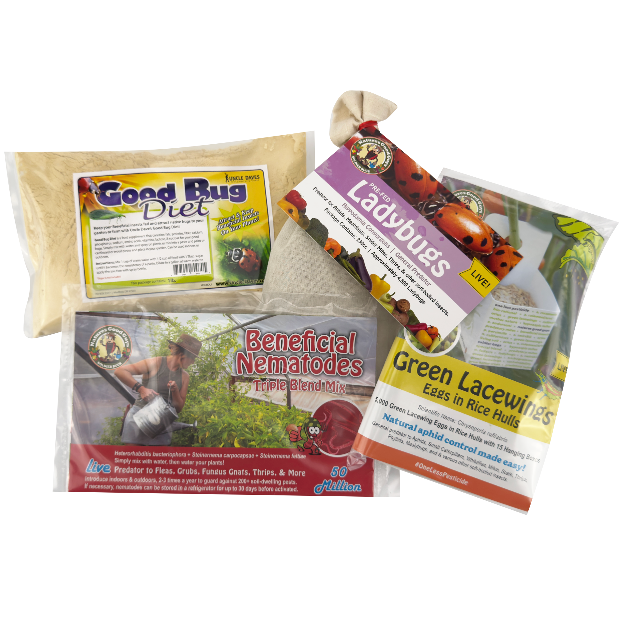 Live Ladybugs | Praying Mantis Egg Cases | Green Lacewing Eggs Live Ladybugs | Praying Mantis Egg Cases | Green Lacewing Eggs