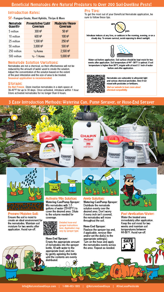 beneficial nematode fungus gnat control for indoor plants Beneficial Nematodes SF – Targets Fungus Gnats, Thrips, Shore Flies & – NaturesGoodGuys