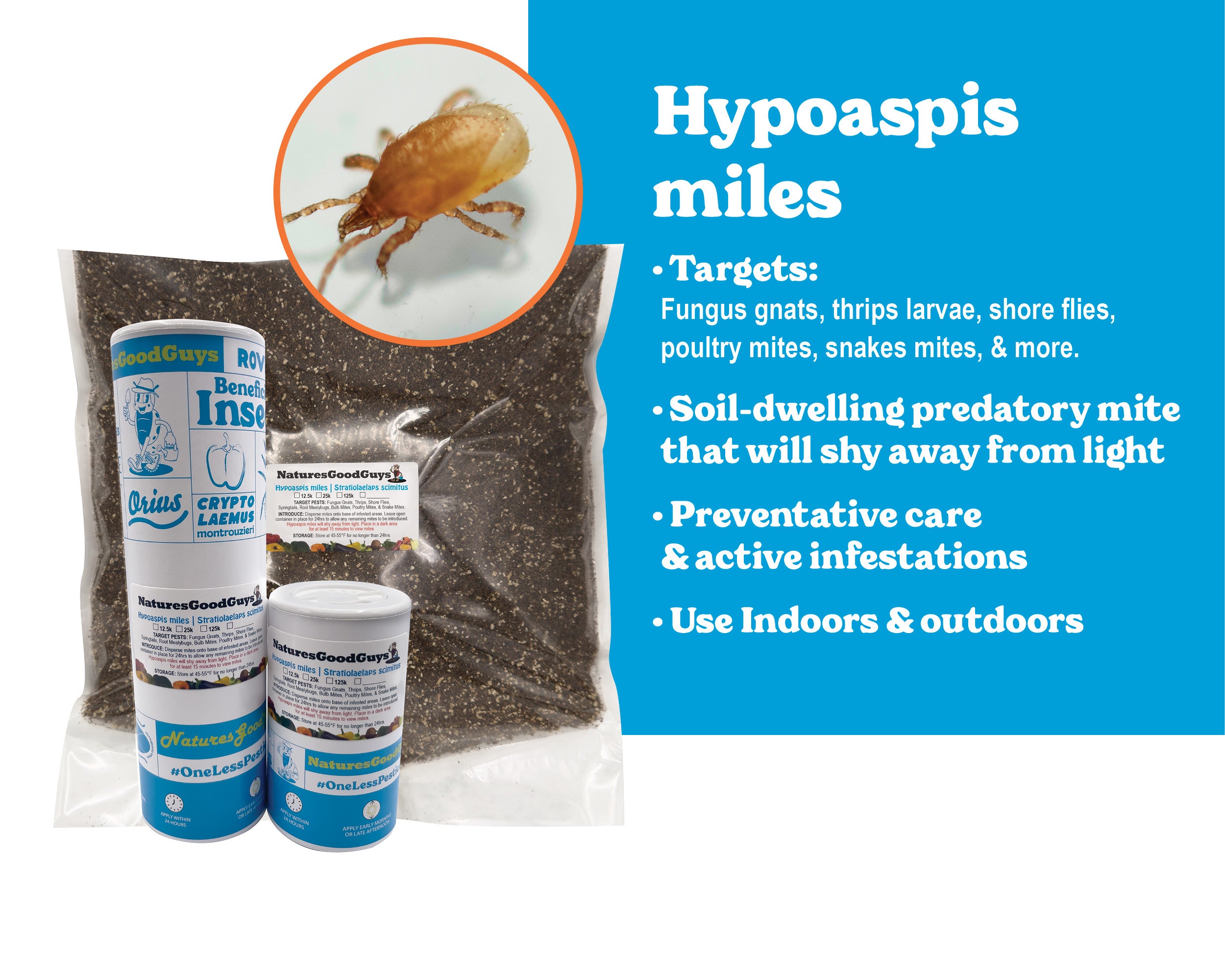 can snakes get mites from plants Hypoaspis miles (Stratiolaelaps scimitus) Soil-Dwelling Predatory Mite – NaturesGoodGuys