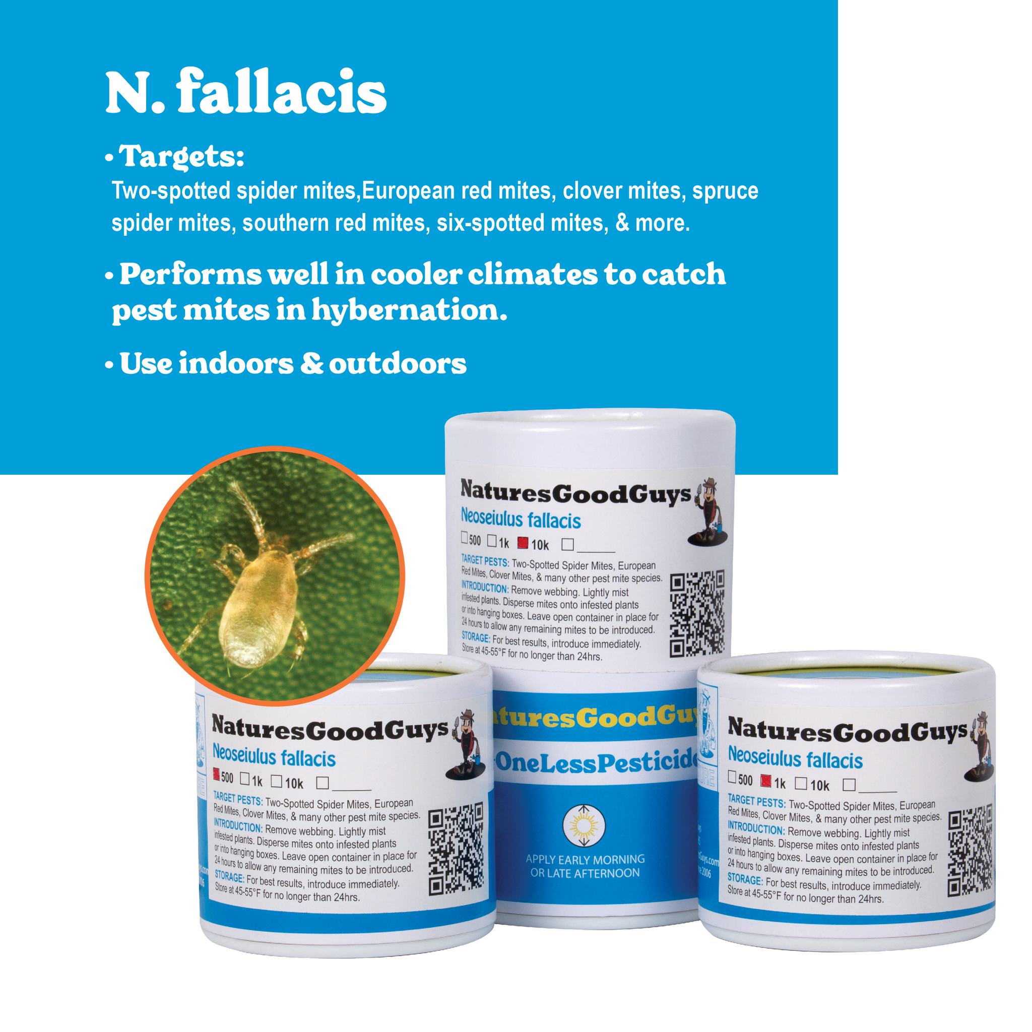 best spider mite killer for indoor plants Neoseiulus fallacis - Cooler Climates