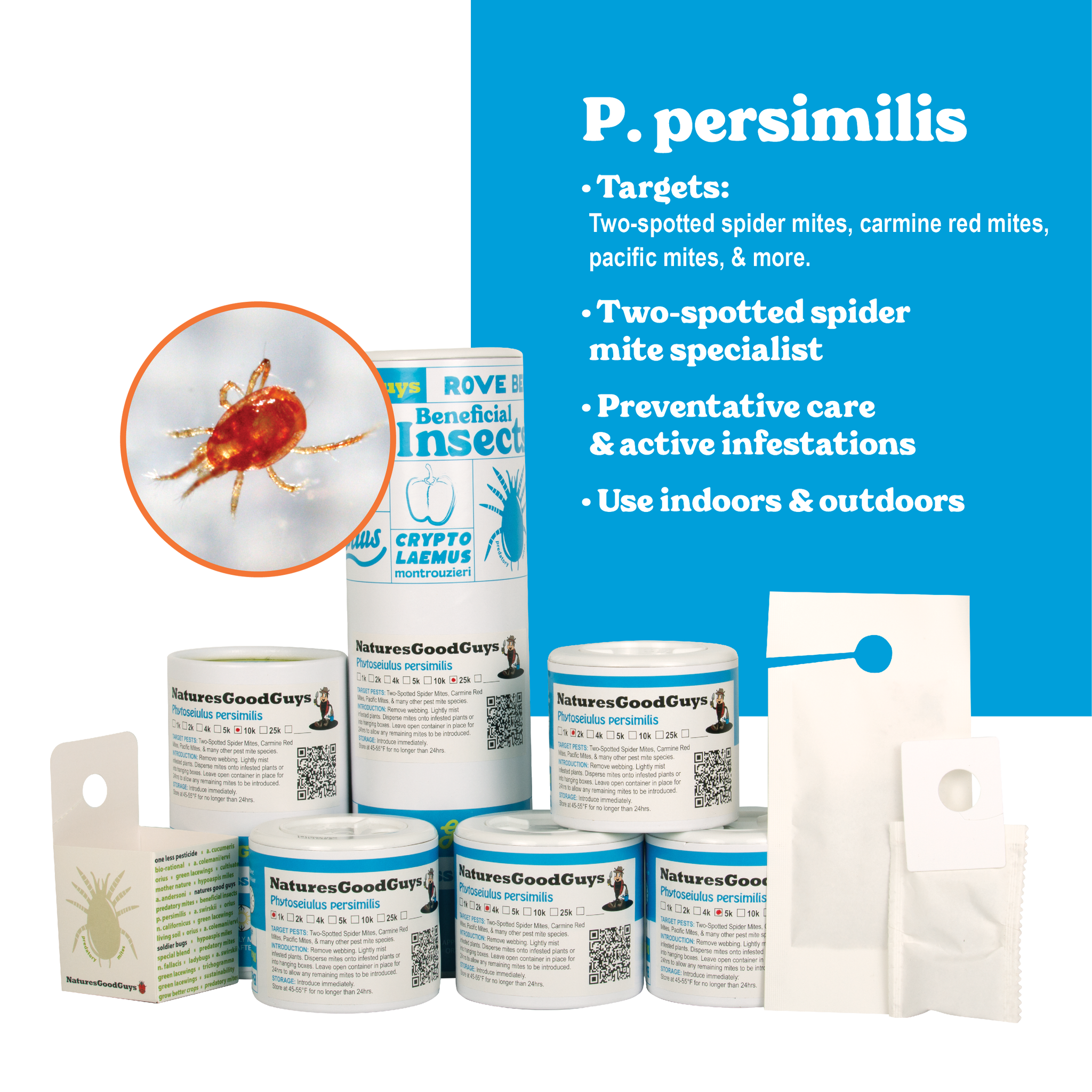 spider mites repellent plants Phytoseiulus persimilis