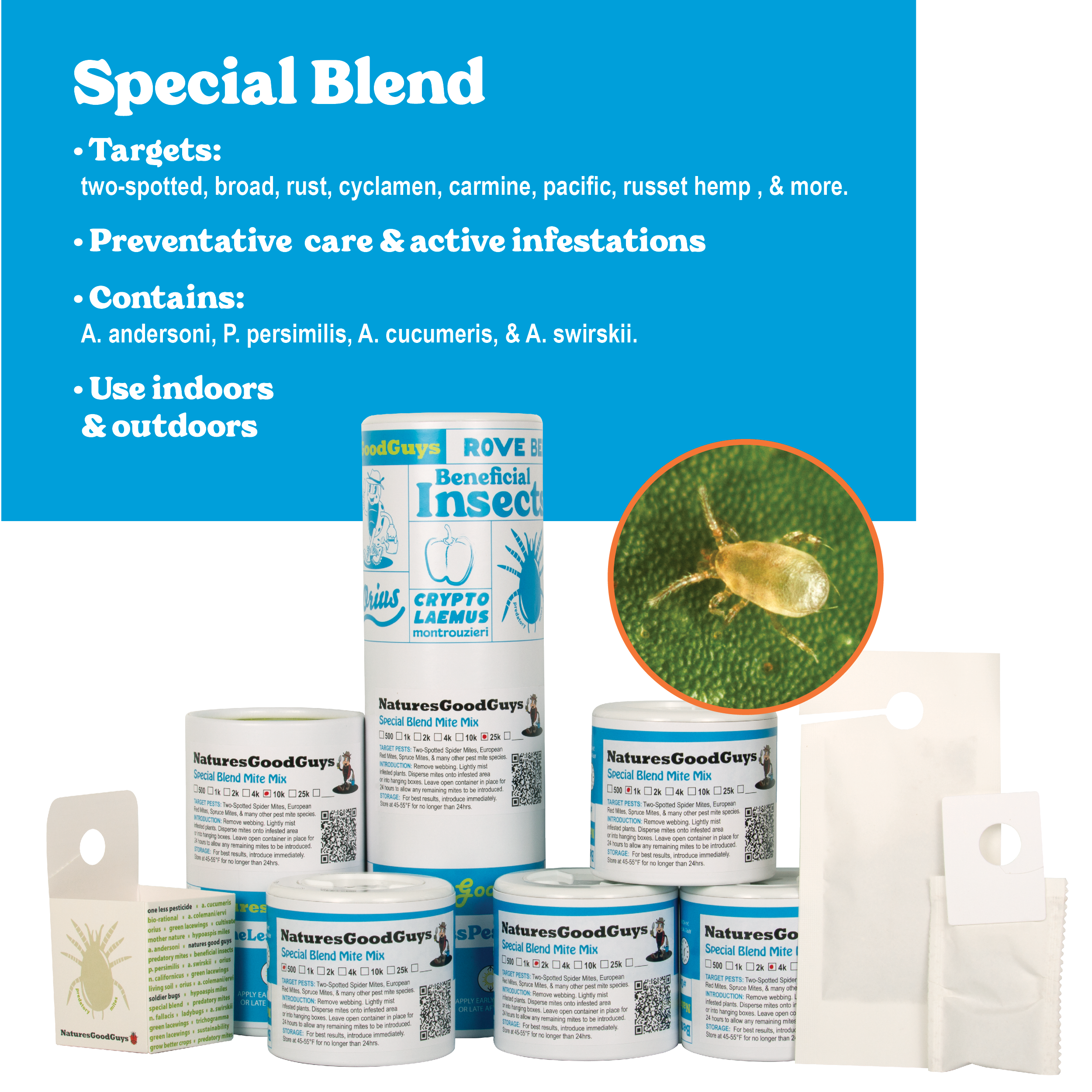 spider mites solution for plants Special Blend Predatory Mites