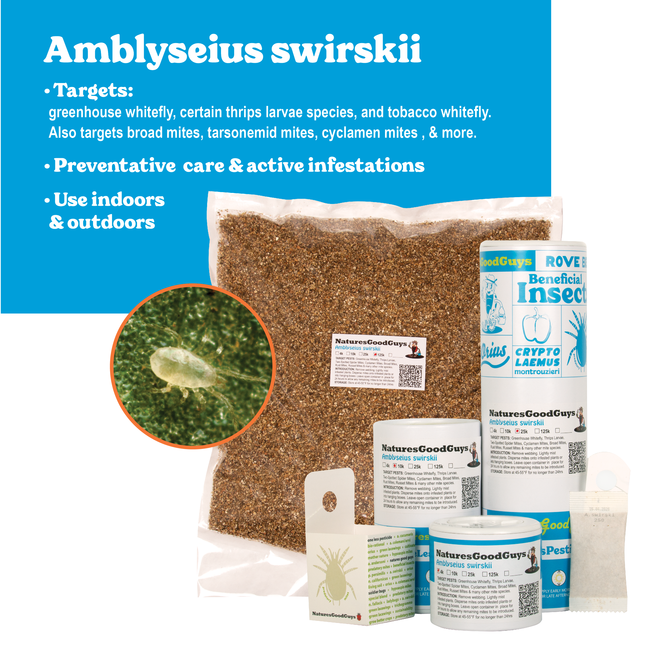 how much tobacco to give a cat for worms does get rid of in cats Toxocara cati Infection in Cats and mineral Advocate for Cats - All-in-One
