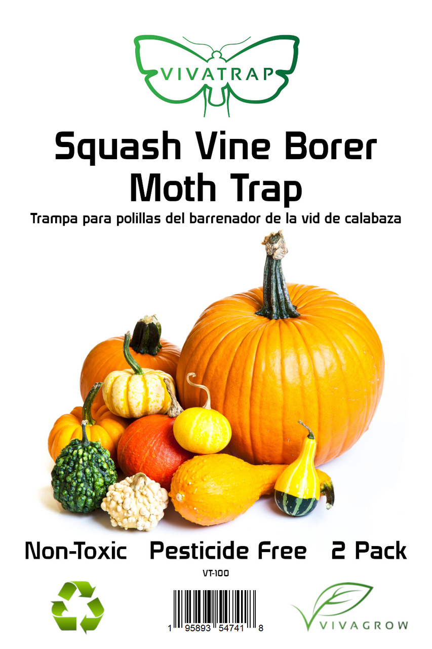 Vivatrap Squash Vine Borer Moth Trap - 2 Pack – NaturesGoodGuys