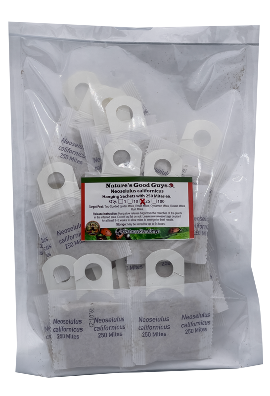 thumbnail image 2 of Neoseiulus Californicus Predatory Mites - 10 Sachets With 250 Mites Each For Natural Spider Mite Control 2 of 10