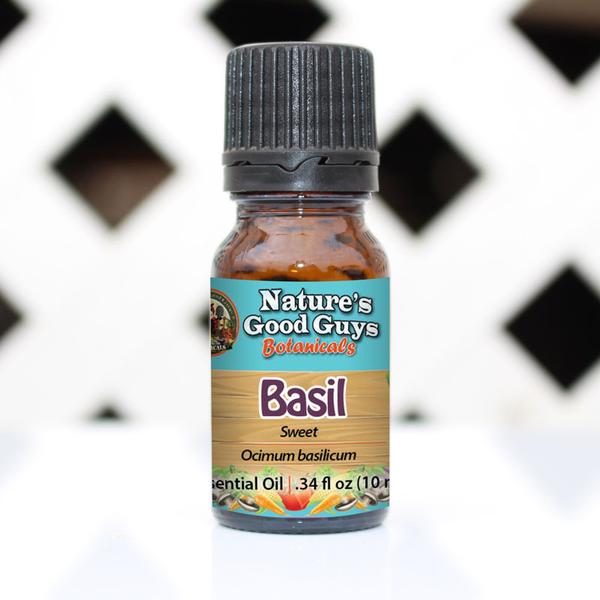 Ocimum basilicum - Basil Oil