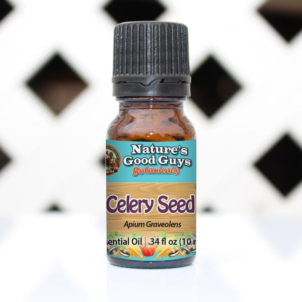 Apium graveolens - Celery Seed Oil