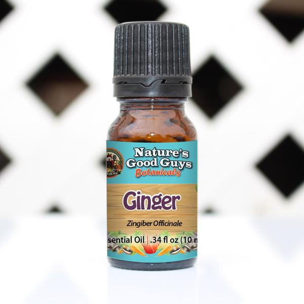 Ginger oil Botanical name: Zingiber officinale